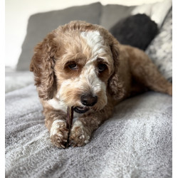 Meat Treats- Sample Size